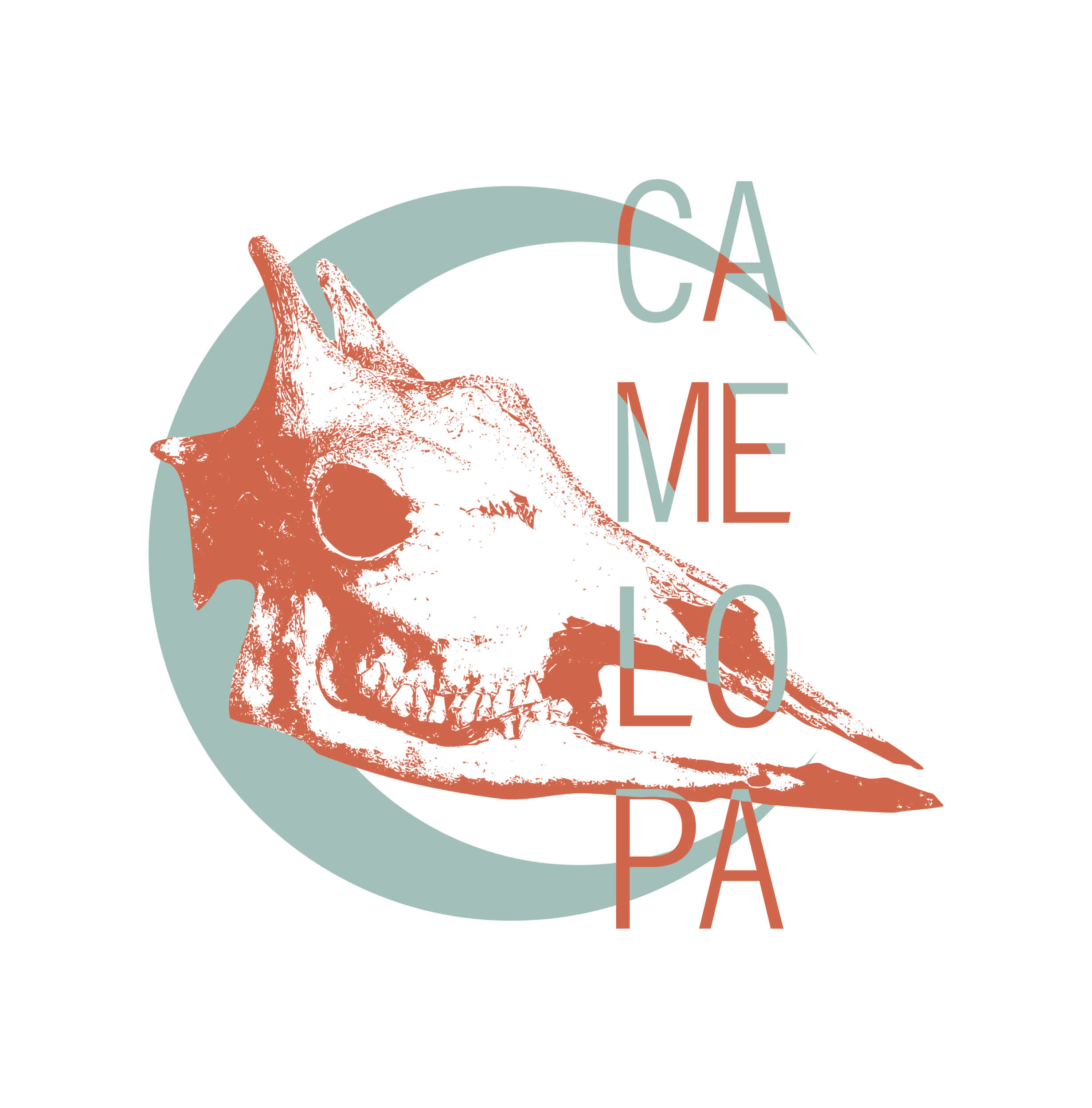 logo camelopa graphiste à huy
